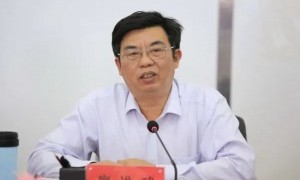 廖进球,严重违纪违法