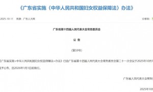 夫妻可互查名下房产、车辆!广东出台新规