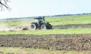 租下2.5万亩“试验田”,兽医学博士在非洲种粮