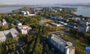 中部“黑马”,为什么又是它?