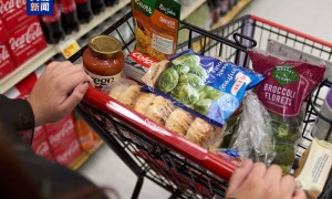 政府“停摆”持续 美低收入人群食品援助将于11月1日停止