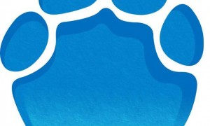 女星卡戴珊公开质疑美国登月造假,NASA:确实去过月球6次,将在特朗普领导下重返月球